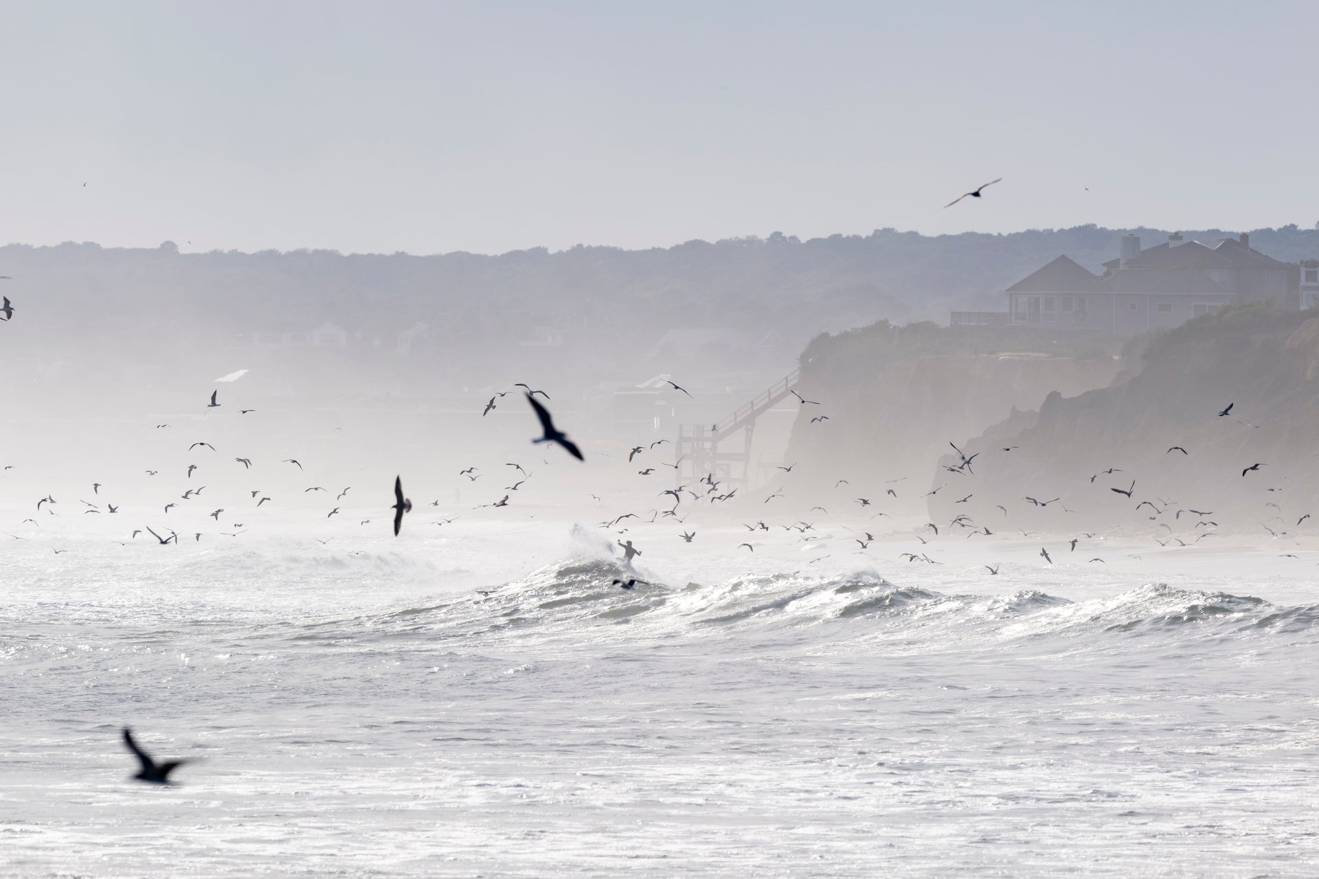 Montauk Man — Origins